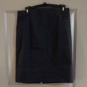 Express Navy Women's Pencil Skirt